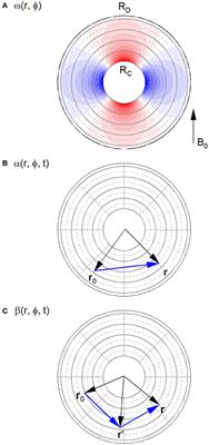 Gaussian Local Phase Approximation in a Cylindrical Tissue Model